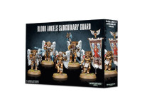 Blood Angels Sanguinary Guard