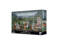 Blood Angels Sanguinary Guard