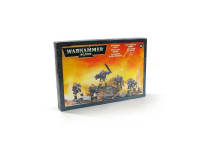 Space Marine Scouts